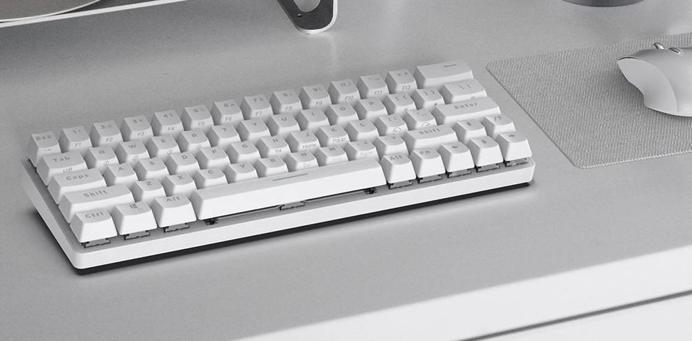 bw kb1 white