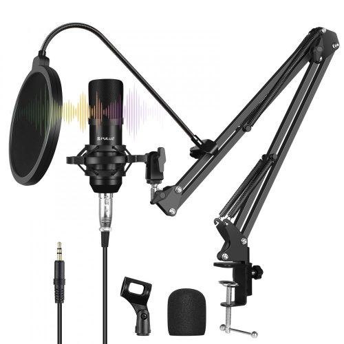 Professional hot Condenser Microphone